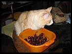 0088 2 juillet 2006